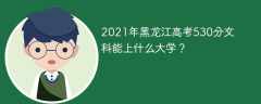 2021年黑龙江高考530分文科能上什么大学？