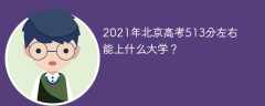 2021年北京高考513分左右能上什么大学？