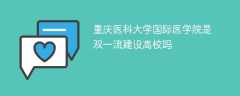 重庆医科大学国际医学院是双一流建设高校吗