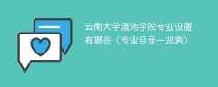 云南大学滇池学院专业设置有哪些（专业目录一览表）