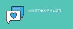 迪维希语专业学什么，开设哪些课程？