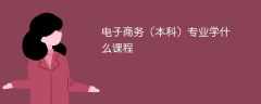电子商务（本科）专业课程有哪些？主要学什么