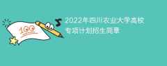 2022年四川农业大学高校专项计划招生简章