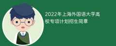 2022年上海外国语大学高校专项计划招生简章