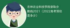 吉林农业科技学院录取分数线2021（2022高考预估是多少）