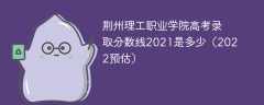 荆州理工职业学院高考录取分数线2021是多少（2022预估）