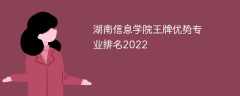 湖南信息学院王牌优势专业排名2022