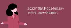2023广西文科205分能上什么学校（好大学有哪些）