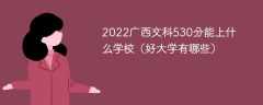 2023广西文科530分能上什么学校（好大学有哪些）