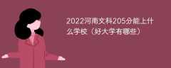 2023河南文科205分能上什么学校（好大学有哪些）