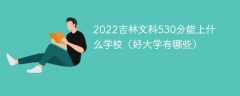 2023吉林文科530分能上什么学校（好大学有哪些）