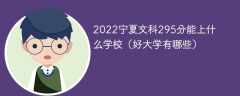 2023宁夏文科295分能上什么学校（好大学有哪些）