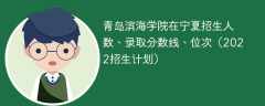 青岛滨海学院在宁夏录取分数线、位次、招生人数（2022招生计划）