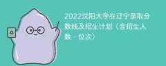 2022沈阳大学在辽宁录取分数线及招生计划（含招生人数、位次）