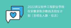 2022武汉软件工程职业学院在安徽录取分数线及招生计划（含位次、招生人数）
