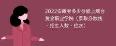 2023安徽考上烟台黄金职业学院要多少分（附2020-2022录取分数线）