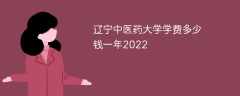 辽宁中医药大学学费多少钱一年2022