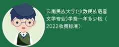 云南民族大学(少数民族语言文学专业)学费一年多少钱2023（2022收费标准）