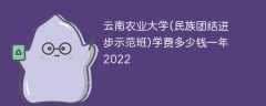 云南农业大学(民族团结进步示范班)学费多少钱一年2023（2022收费标准）
