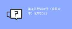 黑龙江野鸡大学（虚假大学）名单2023