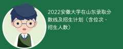 2022安徽大学在山东录取分数线及招生计划（含位次、招生人数）