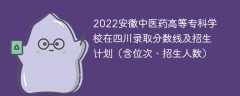 2022安徽中医药高等专科学校在四川录取分数线及招生计划（含位次、招生人数）