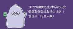 2022铜陵职业技术学院在安徽录取分数线及招生计划（含位次、招生人数）