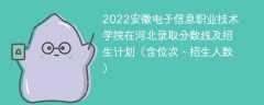 2022安徽电子信息职业技术学院在河北录取分数线及招生计划（含位次、招生人数）