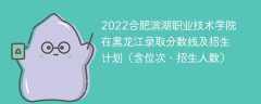 2022合肥滨湖职业技术学院在黑龙江录取分数线及招生计划（含位次、招生人数）