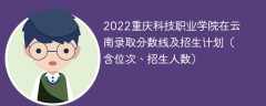 2022重庆科技职业学院在云南录取分数线及招生计划（含位次、招生人数）