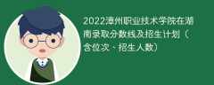 2022漳州职业技术学院在湖南录取分数线及招生计划（含位次、招生人数）