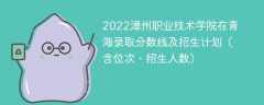 2022漳州职业技术学院在青海录取分数线及招生计划（含位次、招生人数）