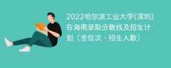 2022哈尔滨工业大学(深圳)在海南录取分数线及招生计划（含位次、招生人数）