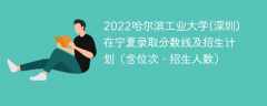 2022哈尔滨工业大学(深圳)在宁夏录取分数线及招生计划（含位次、招生人数）