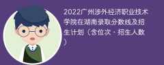 2022广州涉外经济职业技术学院在湖南录取分数线及招生计划（含位次、招生人数）