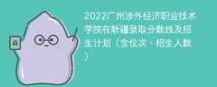 2022广州涉外经济职业技术学院在新疆录取分数线及招生计划（含位次、招生人数）