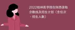 2022桂林医学院在陕西录取分数线及招生计划（含位次、招生人数）