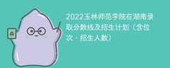 2022玉林师范学院在湖南录取分数线及招生计划（含位次、招生人数）