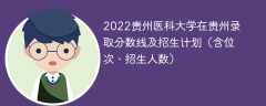 2022贵州医科大学在贵州录取分数线及招生计划（含位次、招生人数）