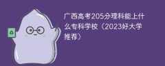 广西高考205分理科能上什么专科学校（2023好大学推荐）