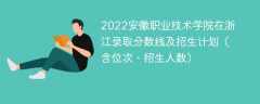 2022安徽职业技术学院在浙江录取分数线及招生计划（含位次、招生人数）