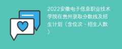 2022安徽电子信息职业技术学院在贵州录取分数线及招生计划（含位次、招生人数）