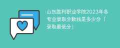 山东胜利职业学院2023年各专业录取分数线是多少分「录取最低分」