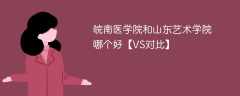 皖南医学院和山东艺术学院哪个好【VS对比】