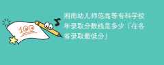 湘南幼儿师范高等专科学校2023年录取分数线是多少「在各省录取最低分」