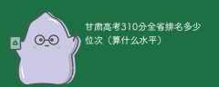 甘肃高考310分全省排名多少位次（算什么水平）