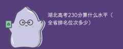 湖北高考230分算什么水平（全省排名位次多少）