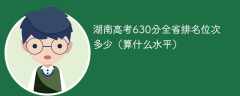 湖南高考630分全省排名位次多少（算什么水平）