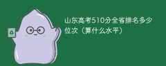 山东高考510分全省排名多少位次（算什么水平）