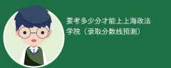 2024要考多少分才能上上海政法学院（录取分数线预测）